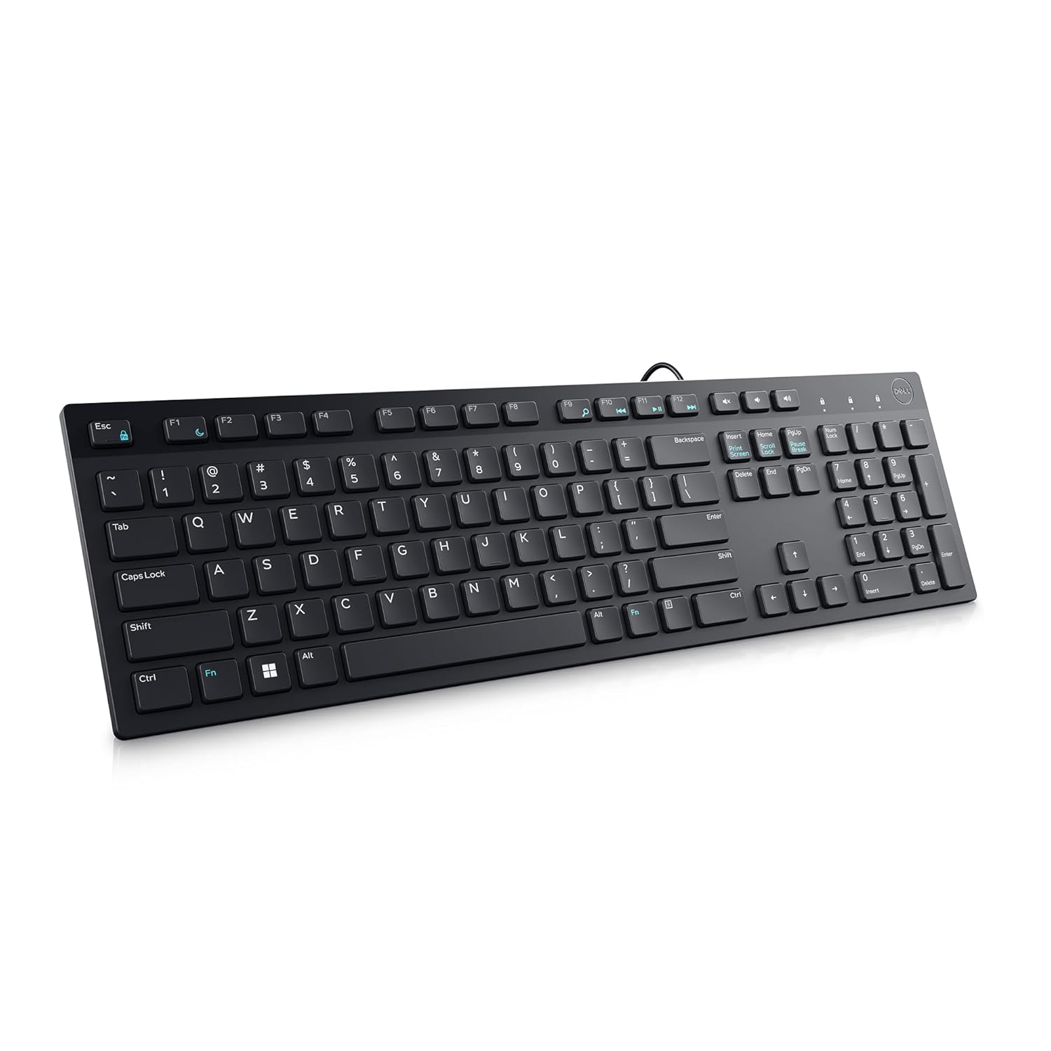 Dell KB216 Wired Multimedia Keyboard - Full-Size Layout with USB Interface, Chiclet Keys, Spill Resistance with 3 Indicator Lights| Plug and Play English Arabic 