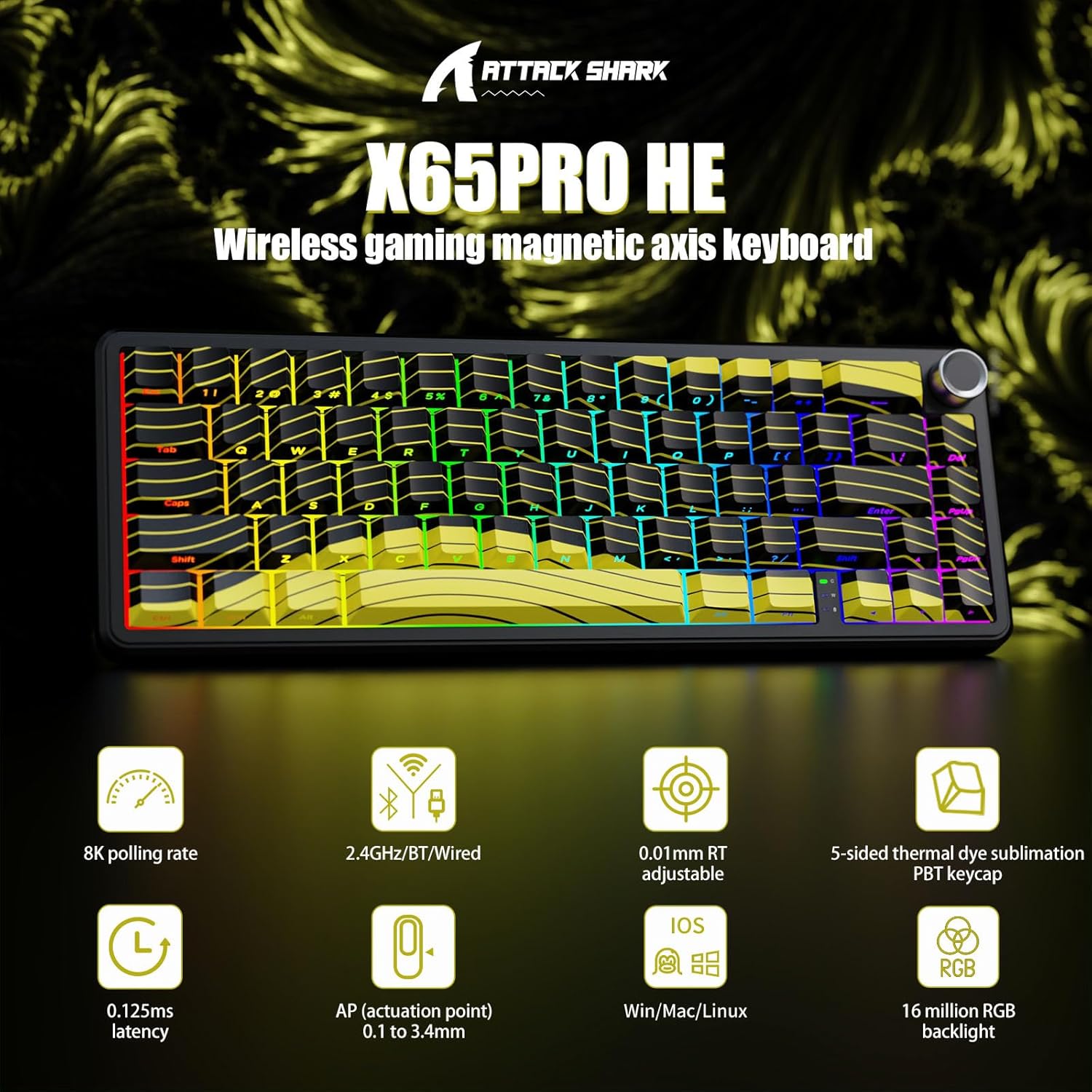 71kqMf-8pOL._AC_SL1500_.jpg