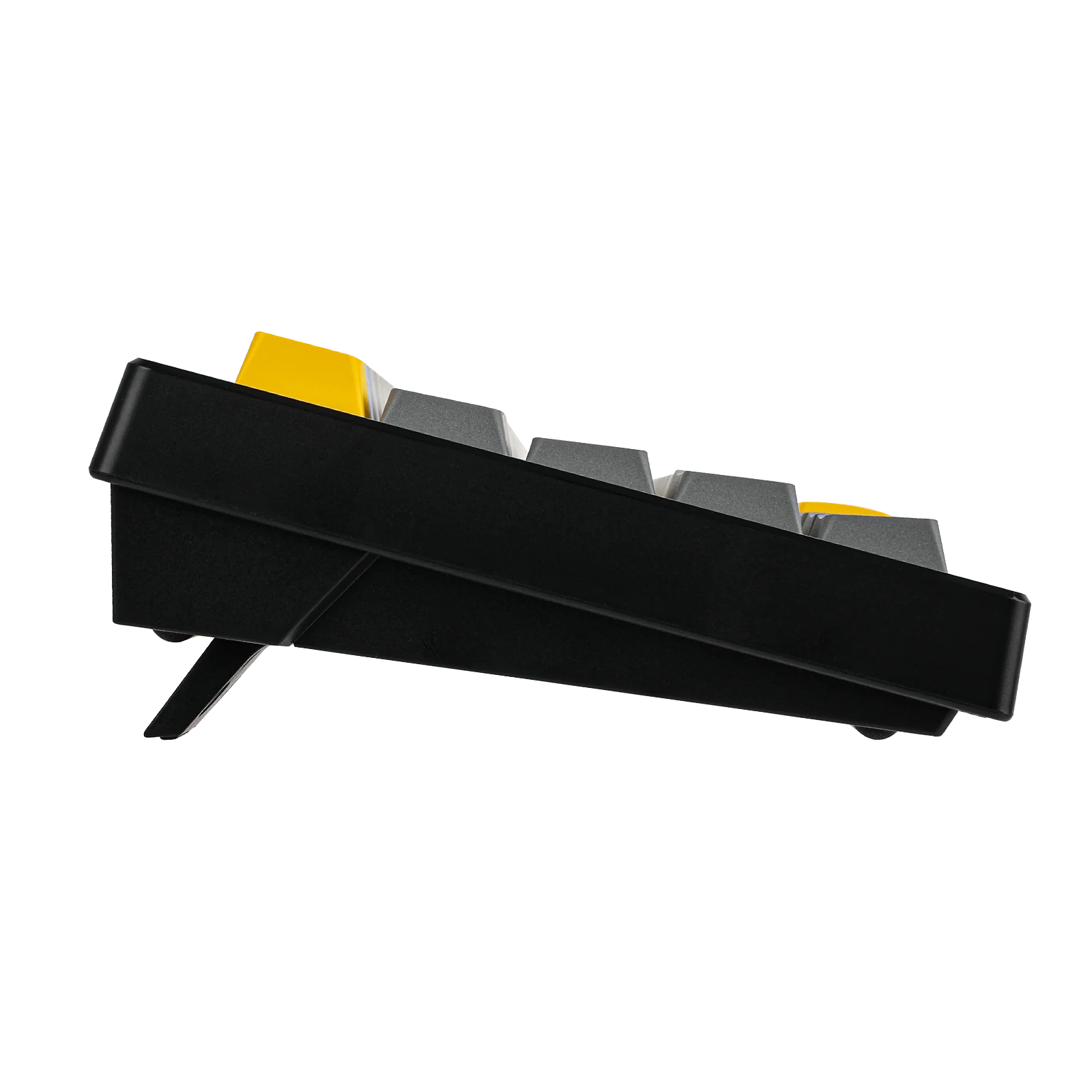 IMG_2769_d3851766-5366-4666-973c-138d2b52db99.webp
