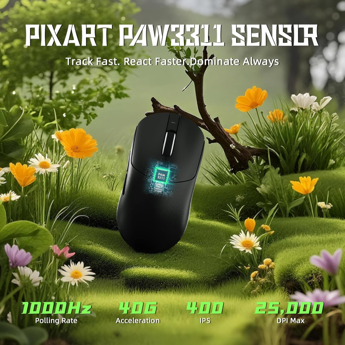 81raMKgECOL._AC_SL1500_.png
