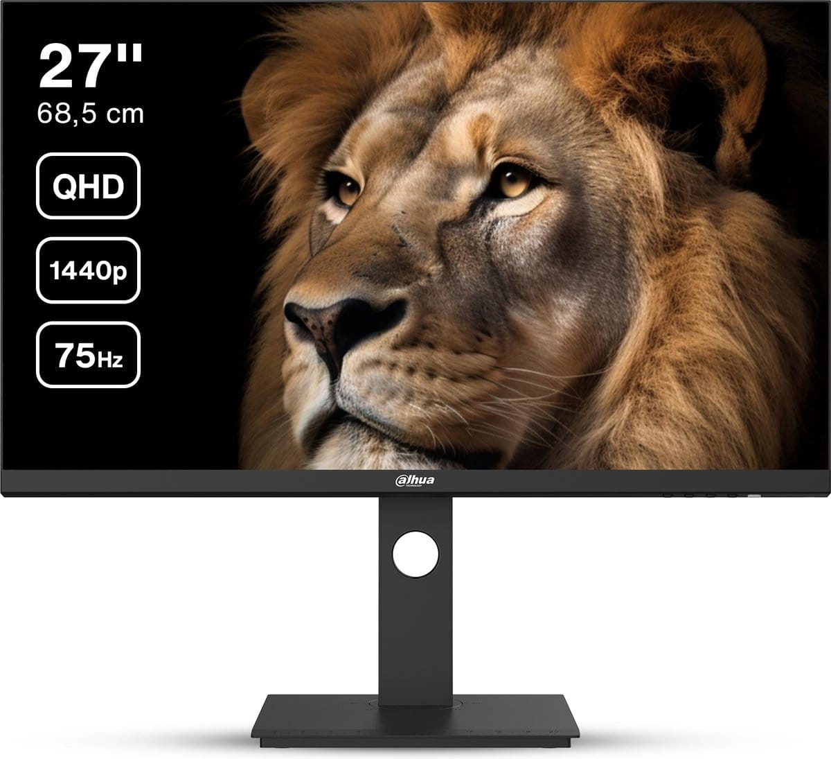 Dahua LM27-P301A 27" IPS QHD 2K 75Hz OD 5 ms Adjustable Stand w/ 1x HDMI, 1x DisplayPort - Black